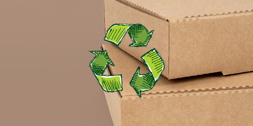 Packaging de cartón ecológico